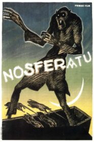 Nosferatu