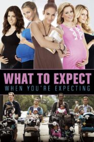 What to Expect When You’re Expecting