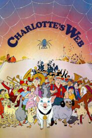 Charlotte’s Web