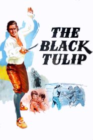 The Black Tulip