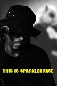 This Is Sparklehorse