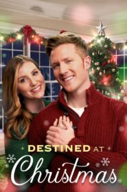 Destined at Christmas