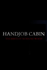 Handjob Cabin