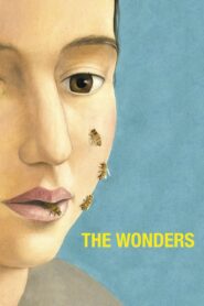 The Wonders