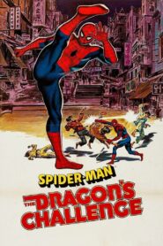 Spider-Man: The Dragon’s Challenge