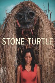 Stone Turtle