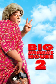 Big Momma’s House 2