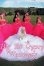 My Big Fat Gypsy Wedding