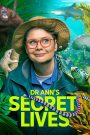 Dr Ann’s Secret Lives