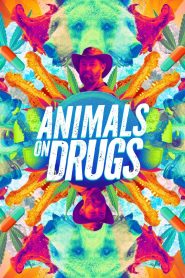 Animals on Drugs