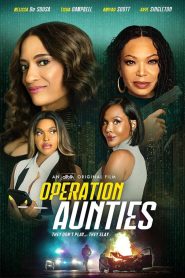 Operation: Aunties