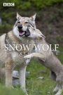 The Snow Wolf: A Winter’s Tale