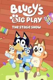 Bluey’s Big Play