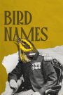 Bird Names