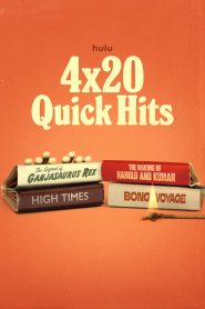 4×20: Quick Hits