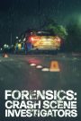 Forensics: Crash Scene Investigators