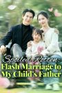 Spoiled Rotten: Flash Marriage to My Child’s Father