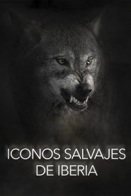 Wild Icons of Iberia